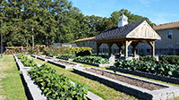 Picture of the Community Gardens