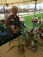 picture of plant sales